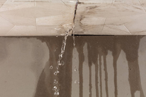 Professional Water Damage Repair technician working in Luling, TX